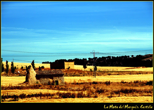 La mota