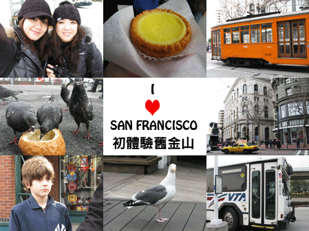 Untitled-1.gif