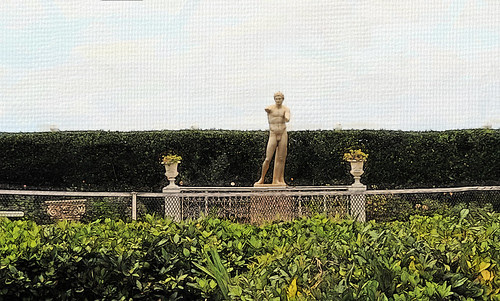 un jardín privado