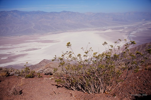 Dante's View