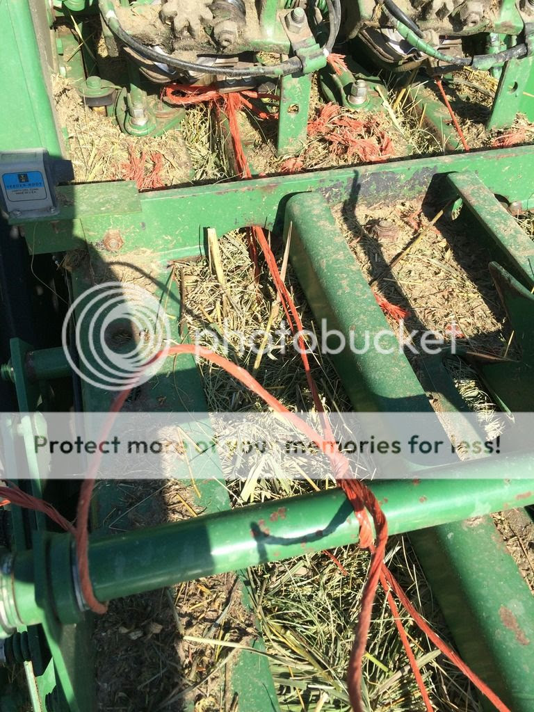 2E365218-8A03-4F52-8BF0-951EB485AC36_zps