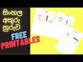 alphabet cards sinhala alphabet cards letter worksheets alphabet writing - sinhala language worksheets alphabet worksheets preschool preschool math worksheets kindergarten word families