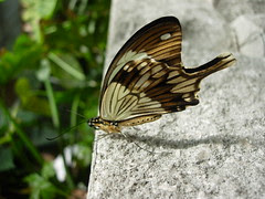 DSCN3425