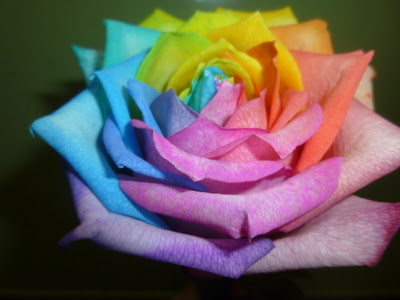 贈り物のお花ならこれ レインボフラワー の作り方 Handful ハンドフル