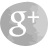Google+