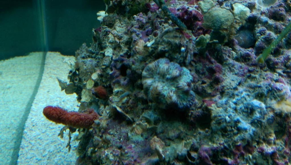 Click image for larger version Name: IMAG0639.jpg Views: N/A Size: 95.0 KB ID: 121018