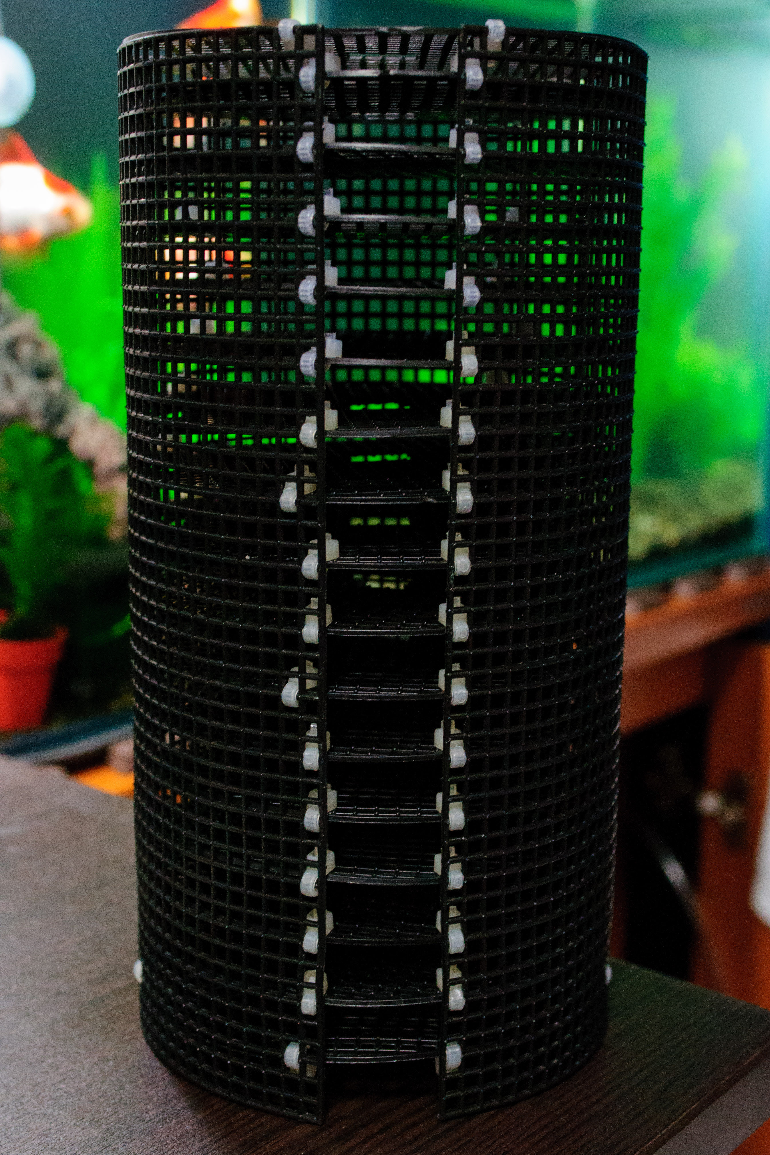 ミナミヌマエビを100匹買った その後 Freetimes