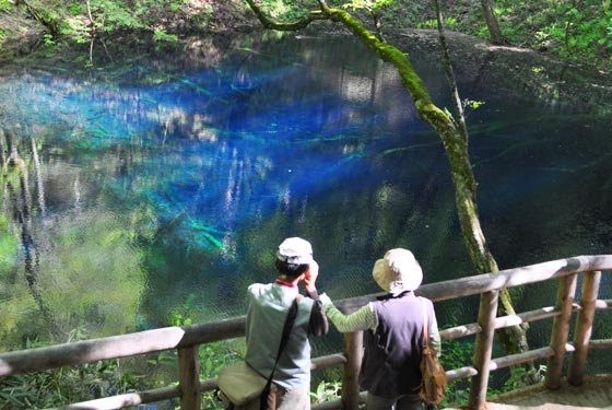 白神山地トレッキングツアーの白神なび 白神山地を知ろう オススメの白神 十二湖 の楽しみ方 白神山地ツアー トレッキング 旅行 ホテル 宿泊など世界遺産 白神山地の観光ナビサイト