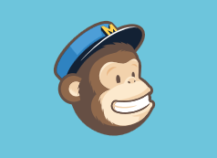  photo FireShotScreenCapture045-AccountIMailChimp-us5_admin_mailchimp_com_account_zpsa00c29bd.png