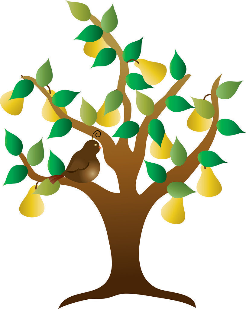 Clip Art Illustration of a Partridge in a Pear Tree