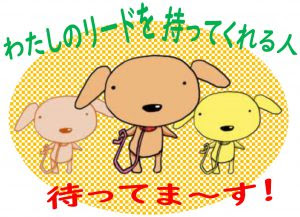 待ってま す チョコ マリア つばめ そよ風 王子 ｎｐｏ法人青い鳥動物愛護会 山口県防府市 ふるさと納税 指定団体
