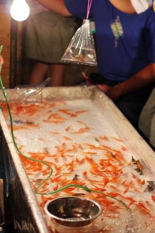 無料素材 夏祭りの屋台の金魚すくいを撮影した楽しい雰囲気の写真素材