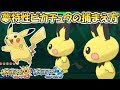 √100以上 ウルトラサン ピカチュウ 進化 186125-ウルトラサン ピカチュウ 進化 タイミング