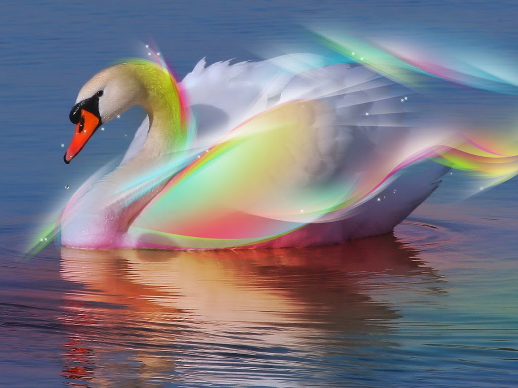 3d Wallpapers Free CZARNY MAZAK