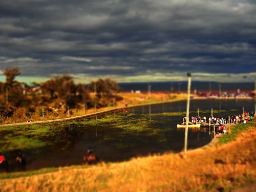 Tilt Shift Photography