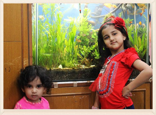 Marziyas Fish Tank by firoze shakir photographerno1