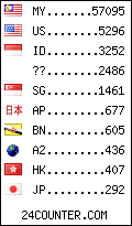 visitors by country counter