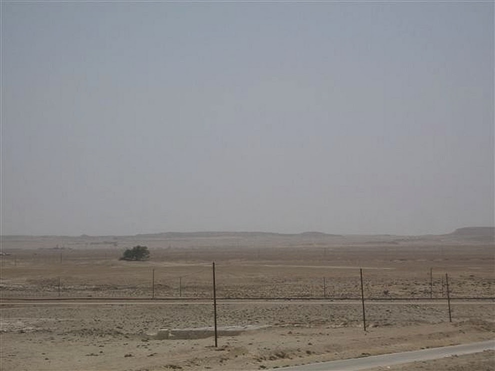 TJkdV Tree of Life, Bahrain