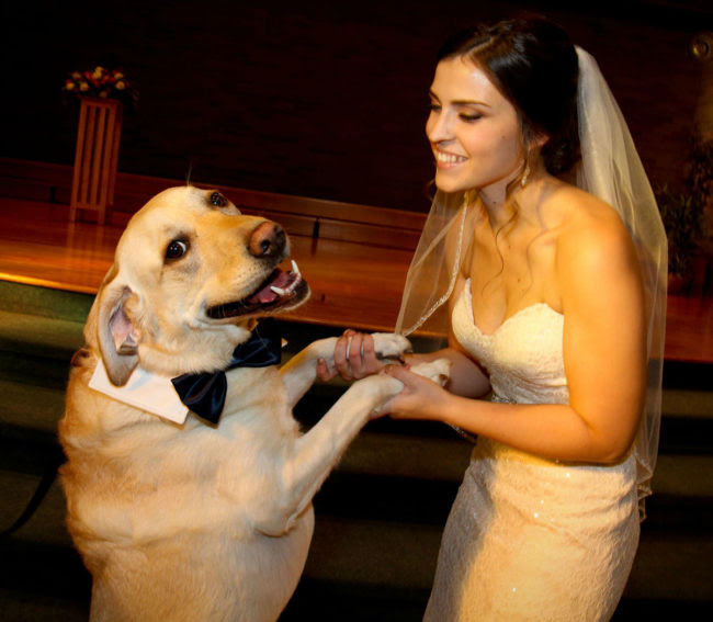 My dog Odin welcoming my new wife to the pack