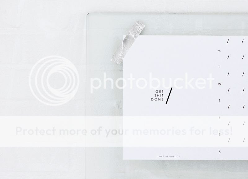  photo loveaestheticsGSD14.jpg