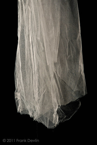 _MG_2390.jpg by Frank Devlin