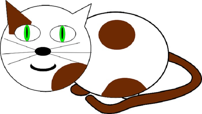  Kucing  Kartun  Gallery