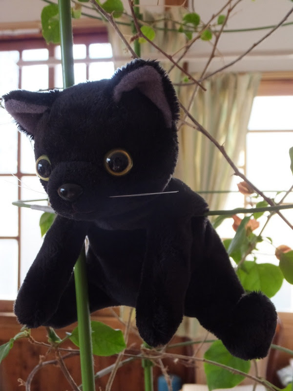 ねこのぬいぐるみの作り方 型紙付き くまこ と くますけ