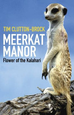 Meerkat Manor Flower Of The Kalahari