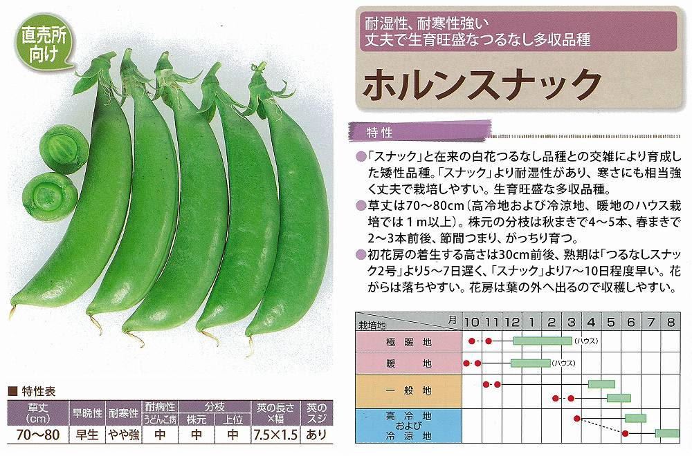 エンドウの育て方 種まき２月 ３月 暇人主婦の家庭菜園 楽天ブログ