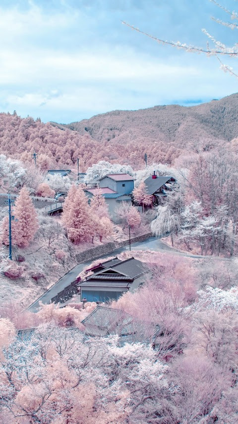 桜 25枚 スマホ壁紙 待受 19 1080 縦長フルhd Android Iphone スマホ壁紙 待ち受けブログ 仮 Android Iphone