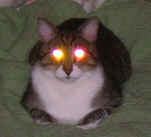 Resultado de imagem para imagens de assombração