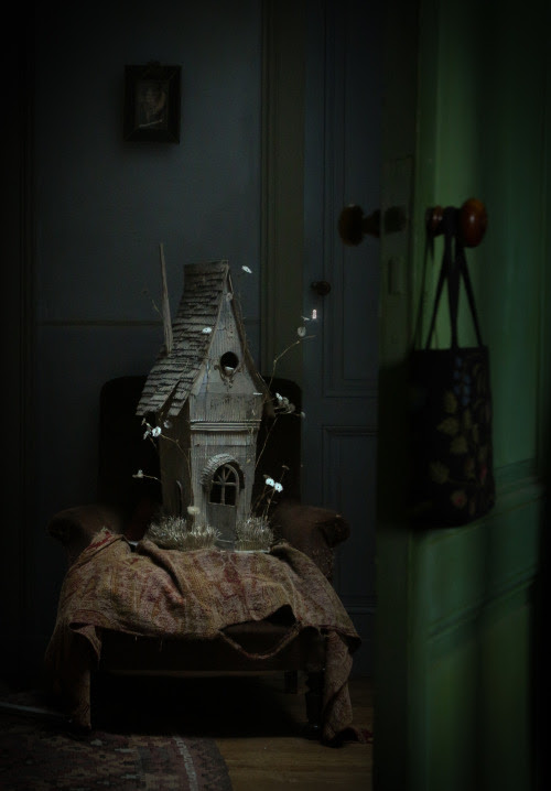 forthepleasureofmylife:

Short Stories of La Maison
the house of Miss Clara
Photo: Dieter Krehbiel

