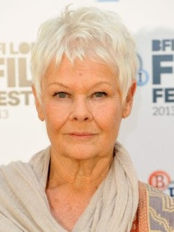 Celebrity Gray Hairstyles  2019 Haircuts, Hairstyles and 