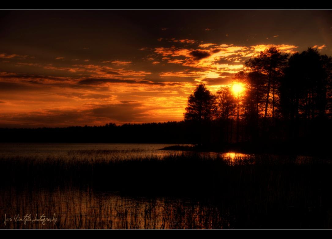 Summer Night Wallpaper - WallpaperSafari