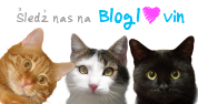 Follow on Bloglovin