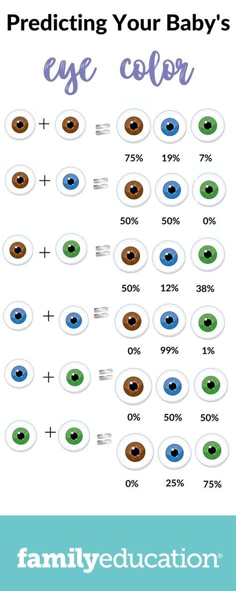  8 best eye color chart genetics images in 2020 eye color chart eye