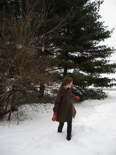 joanna coat :: dace