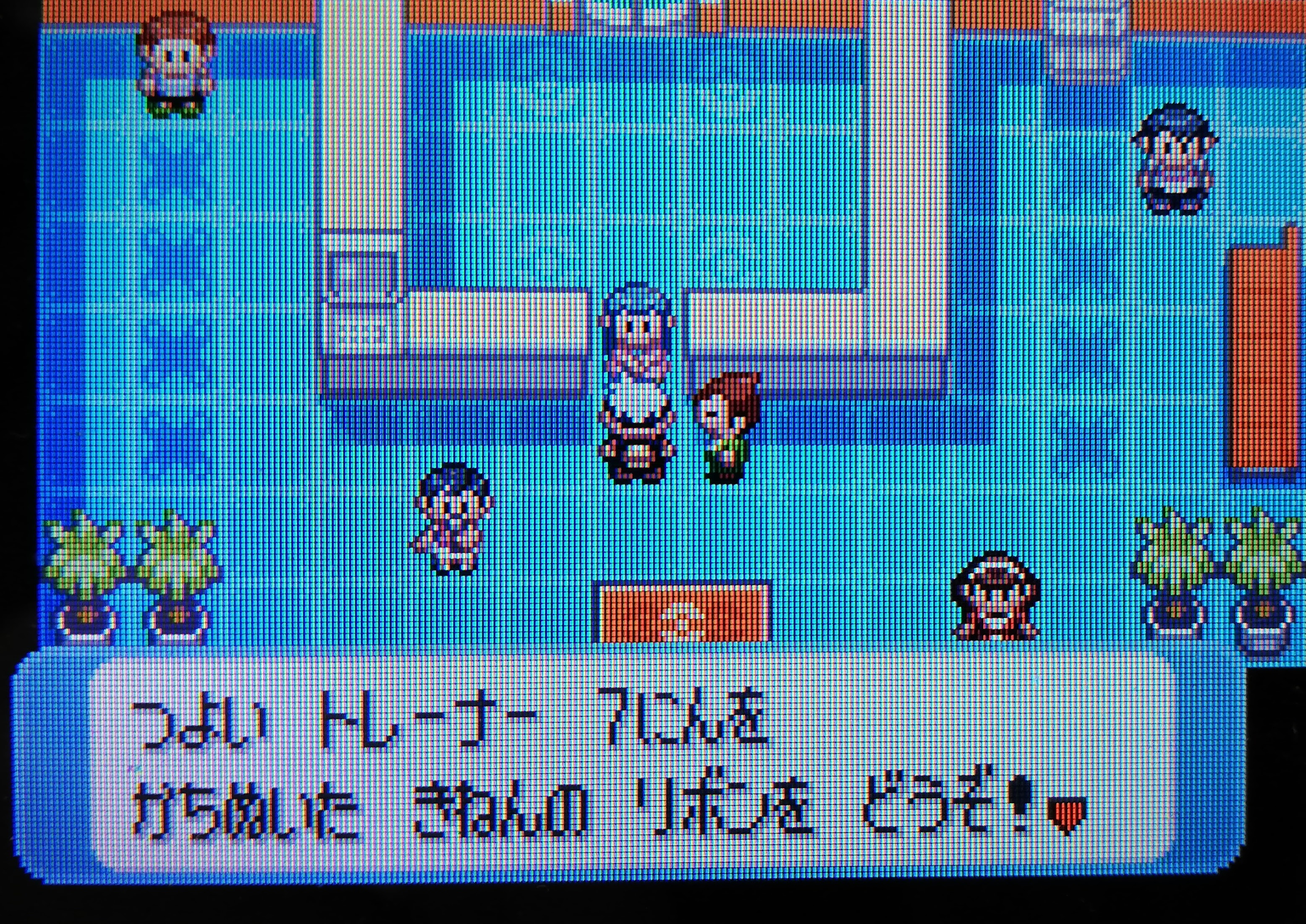 メタモン リボンコンプ旅 3世代編 続 大人でもポケモン好き