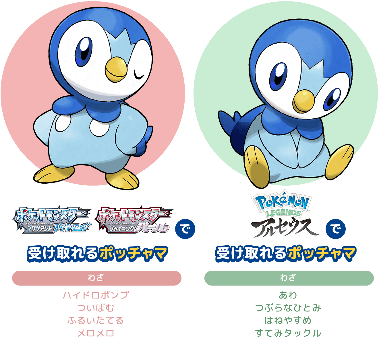 ポッチャマ配布 受け取り方や技 sp アルセウス ポケモン剣盾 ソードシールド 攻略 最新情報 Pokemon Times