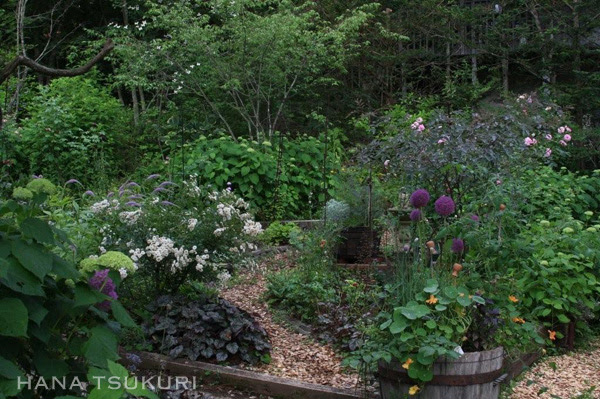 山の庭 花つくり Daphne の日記