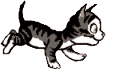 cat9-8.gif cat9-8.gif