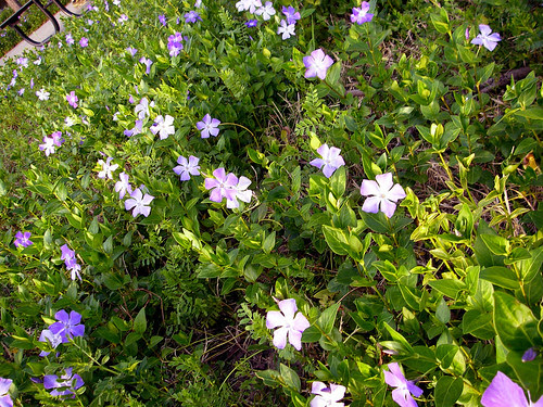 P3230066a