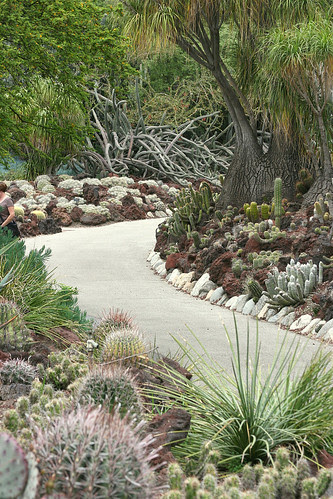 huntington succulent paths