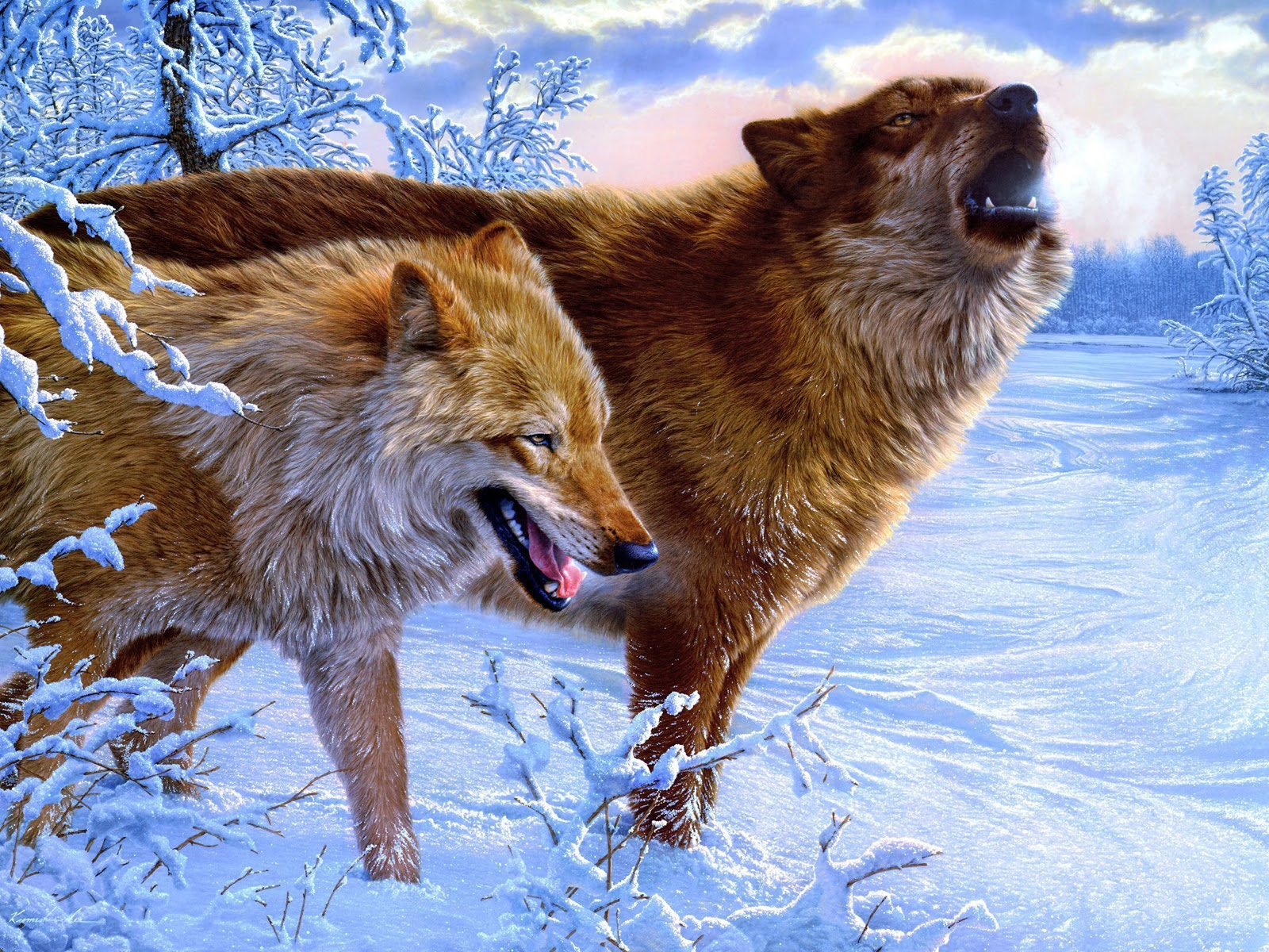 Winter Wolves wallpapers and images - wallpapers, pictures ...