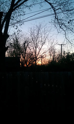 IMAG0127