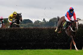 Steeplechasing History: Steeplechase Horse Race, Track ...