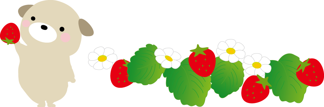 春 苺 いちご のイラスト 無料イラスト フリー素材
