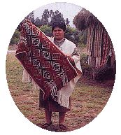 mapuche2