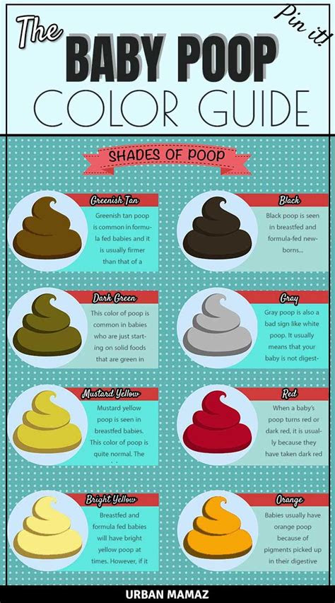  pin on baby tips the color of baby poop and what it means newborn