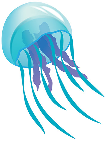 Free Jellyfish Cliparts Download Free Jellyfish Cliparts Png Images Free Cliparts On Clipart Library